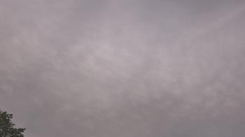 Weather camera view of The Lamplighter School.