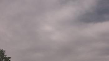 Weather camera view of The Lamplighter School.