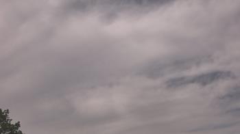 Weather camera view of The Lamplighter School.