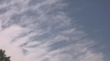 Weather camera view of The Lamplighter School.