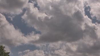 Weather camera view of The Lamplighter School.