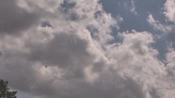 Weather camera view of The Lamplighter School.