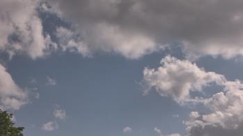 Weather camera view of The Lamplighter School.