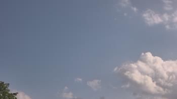 Weather camera view of The Lamplighter School.