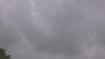 Weather camera view of The Lamplighter School.