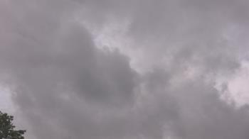 Weather camera view of The Lamplighter School.