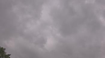 Weather camera view of The Lamplighter School.