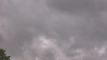 Weather camera view of The Lamplighter School.