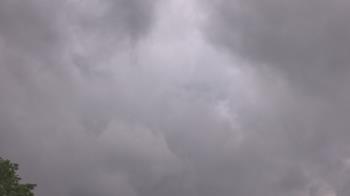 Weather camera view of The Lamplighter School.