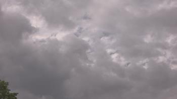 Weather camera view of The Lamplighter School.