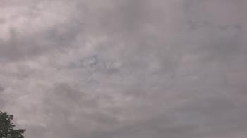 Weather camera view of The Lamplighter School.