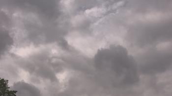 Weather camera view of The Lamplighter School.