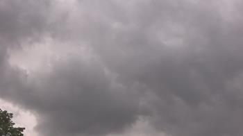 Weather camera view of The Lamplighter School.