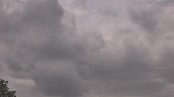 Weather camera view of The Lamplighter School.