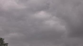 Weather camera view of The Lamplighter School.