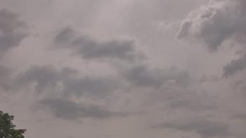 Weather camera view of The Lamplighter School.