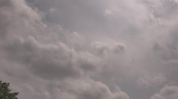 Weather camera view of The Lamplighter School.