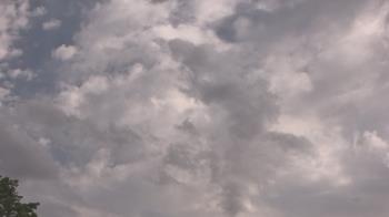 Weather camera view of The Lamplighter School.