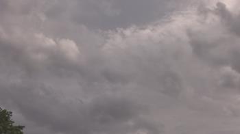 Weather camera view of The Lamplighter School.