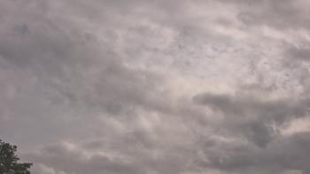 Weather camera view of The Lamplighter School.