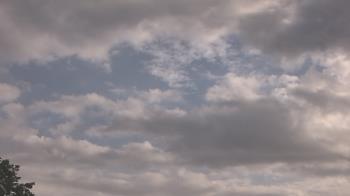 Weather camera view of The Lamplighter School.