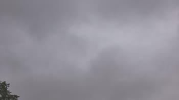 Weather camera view of The Lamplighter School.