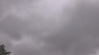 Weather camera view of The Lamplighter School.