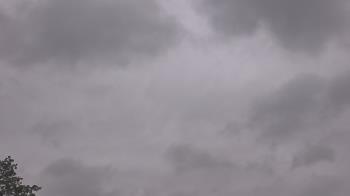 Weather camera view of The Lamplighter School.