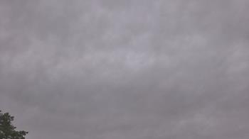 Weather camera view of The Lamplighter School.