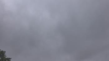 Weather camera view of The Lamplighter School.