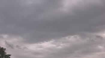 Weather camera view of The Lamplighter School.