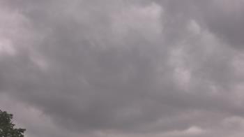 Weather camera view of The Lamplighter School.