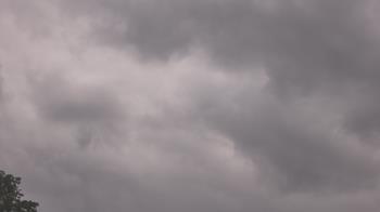 Weather camera view of The Lamplighter School.