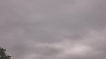 Weather camera view of The Lamplighter School.