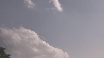 Weather camera view of The Lamplighter School.