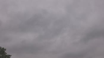 Weather camera view of The Lamplighter School.