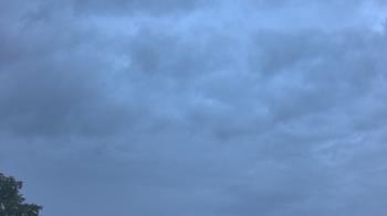 Weather camera view of The Lamplighter School.