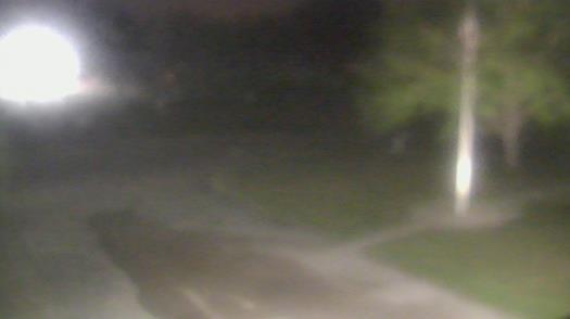 Weather camera view of City of League City Fire Station 4.