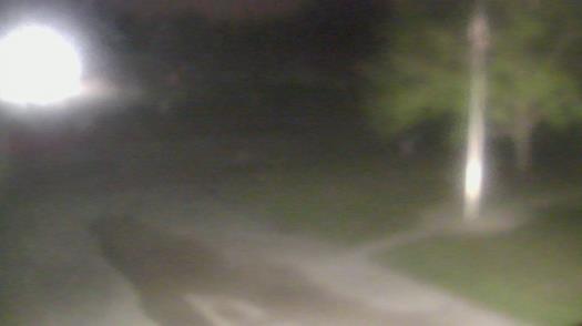 Weather camera view of City of League City Fire Station 4.