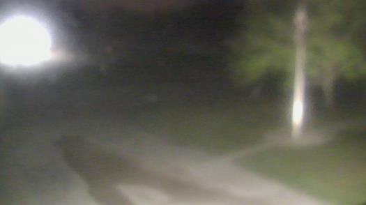 Weather camera view of City of League City Fire Station 4.