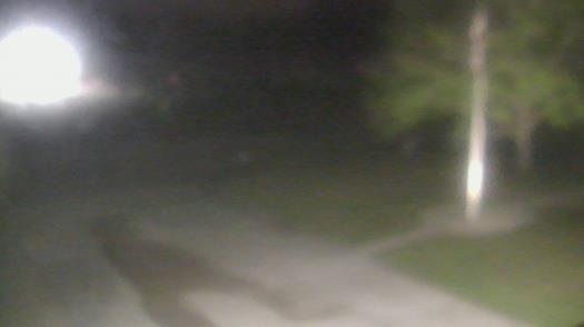 Weather camera view of City of League City Fire Station 4.