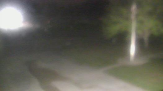 Weather camera view of City of League City Fire Station 4.