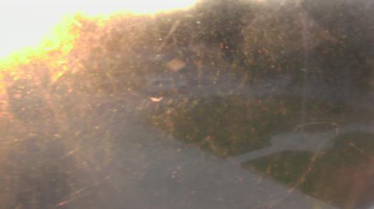 Weather camera view of City of League City Fire Station 4.