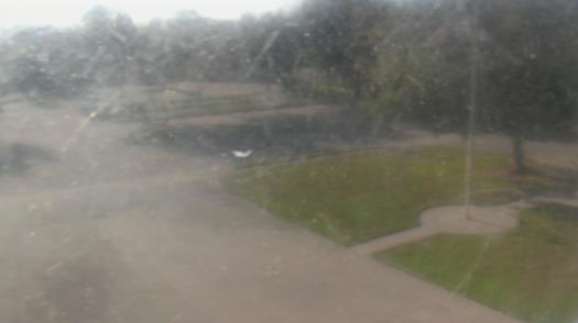 Weather camera view of City of League City Fire Station 4.