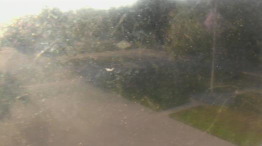 Weather camera view of City of League City Fire Station 4.