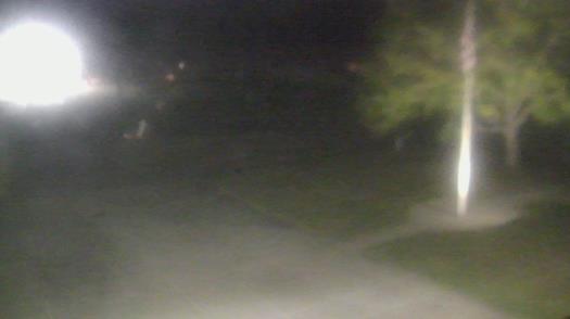 Weather camera view of City of League City Fire Station 4.