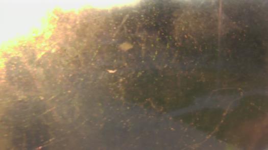 Weather camera view of City of League City Fire Station 4.