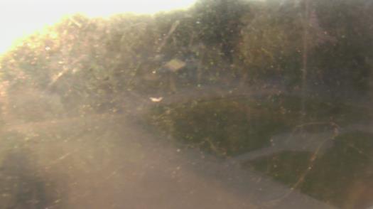 Weather camera view of City of League City Fire Station 4.