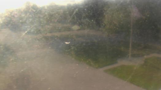 Weather camera view of City of League City Fire Station 4.