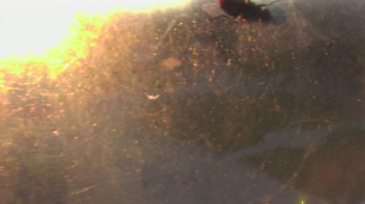 Weather camera view of City of League City Fire Station 4.